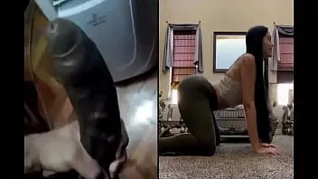 play Bbc splitscreen anak kulit putih penghinaan